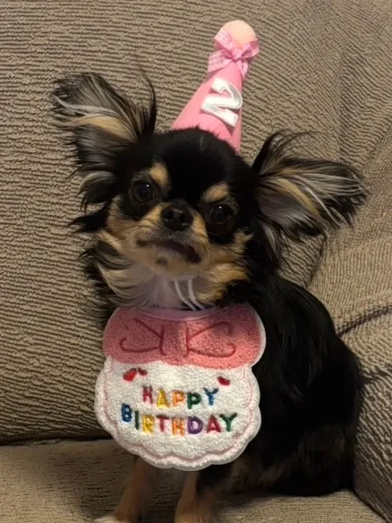 サイボーグ変身213日目.温帯低気圧.天丸2歳誕生日.MLB.ワールドシリーズ.NPB.日本シリーズ.GⅠ.菊花賞.武豊騎手. ゴーイントゥスカイ.GⅢ.アルテミスS.応援印結果…月曜の朝〜
